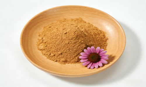 Benefits of Echinacea Extract Powder for Immunity